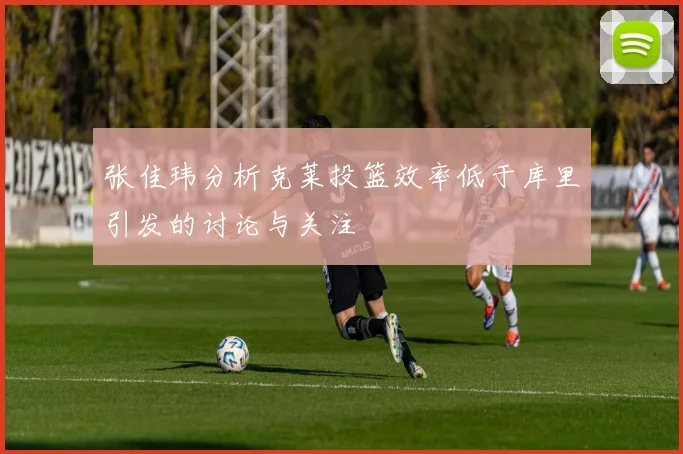 张佳玮分析克莱投篮效率低于库里引发的讨论与关注