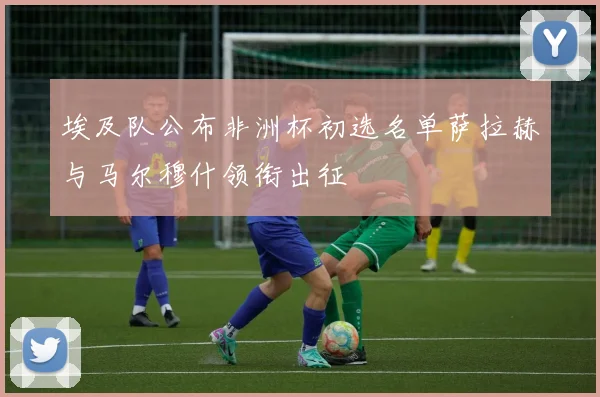 埃及队公布非洲杯初选名单萨拉赫与马尔穆什领衔出征